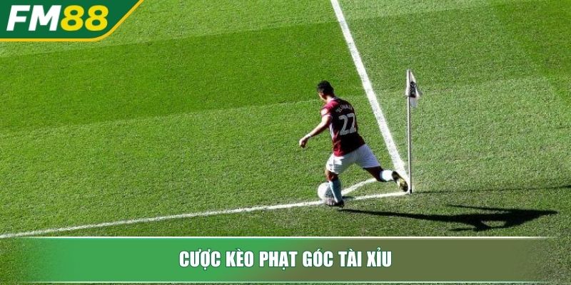 Kèo Phạt Góc Chinh Phục Mỏ Vàng Cá Cược Bóng Đá Ít Người Biết 3 Cược kèo phạt góc tài xỉu