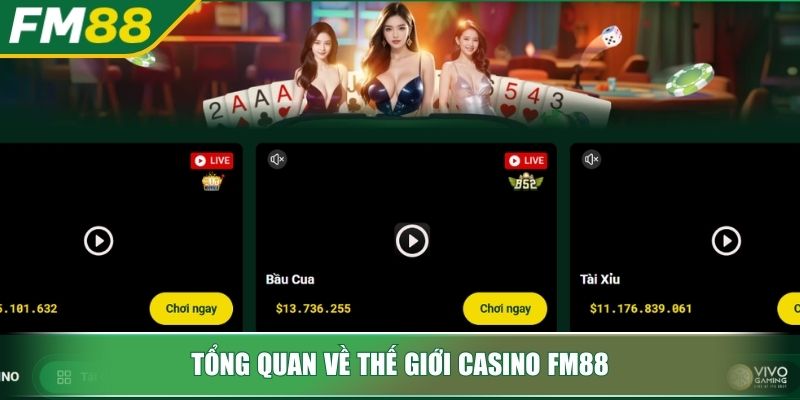 Tổng quan về thế giới Casino FM88