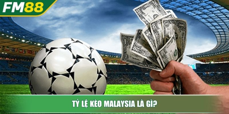 Kèo Malaysia là gì và kinh nghiệm soi tỷ lệ kèo Malaysia 2 Tỷ lệ kèo Malaysia là gì?